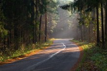 Novembermorgen irgendwo in den Wäldern / ***