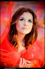 Portrait in Rot / ***