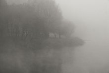 Fog Island / ***