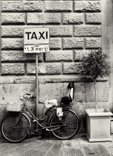Florenz Takashi / ***