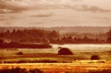 Herbst / ***