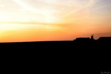 Abend .. / ***