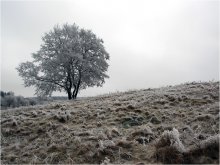 Mittag / ***