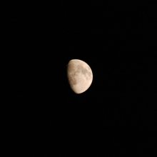The Dark Side of the Moon / ***