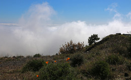 Jenseits der Wolken / ***