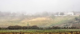 Nebel / ***