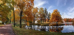 Herbst / ***