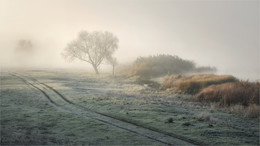 In Erwartung des Winters / ***