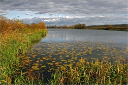Herbst-Teich / ***