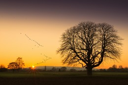 silent afternoon / Landscape