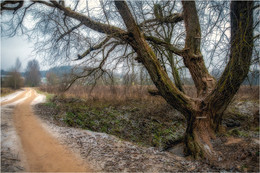 Alte Weide / ***