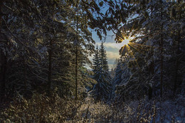 Strahlen der Sonne ... / ***