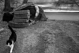 Beach ... / ***