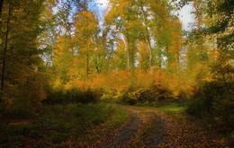 Autumn Sun / ***