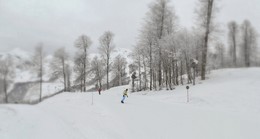 Auf dem frischen Schnee / ***