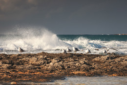 Mittelmeer / ***