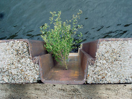Platz an der Sonne / ***