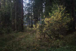 im Oktober / 2018