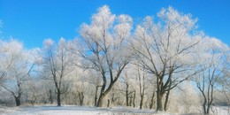 Winter / ***