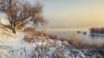 Winter Beach / ***