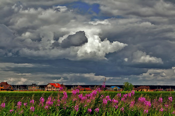 Sommer / ***