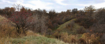 Hill / ***