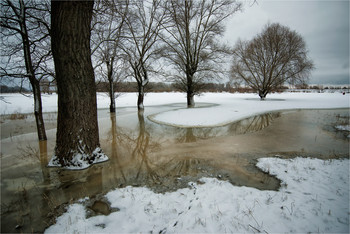 Tauwetter / ***