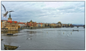 Old Prague / ***