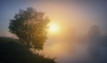 Morgen / ***