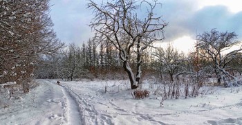 Winterlandschaft / ***