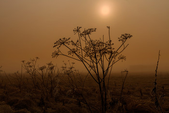  / field image when it's autumn