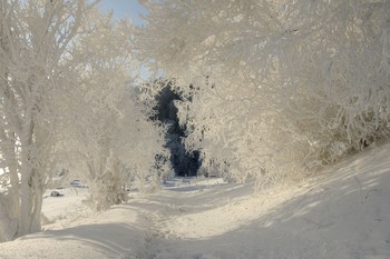 Winter-Spitze. / ***