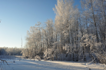 Winter denek / ***