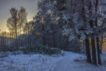"Es gibt auf unbekannten Spuren ..." / ***