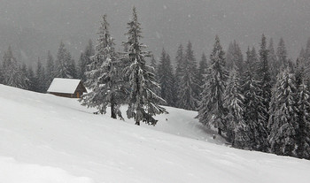 Winter / ***