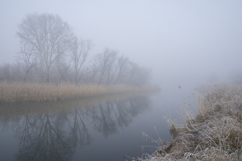 Nebel / ***