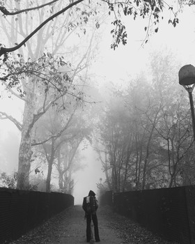  / Nebbia