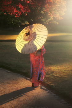 Geisha / https://mikhaliuk.com/Japan-Phototour-Fuji-Sakura-flowering/