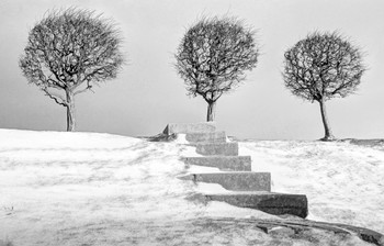 Winter-Skizzen / ***