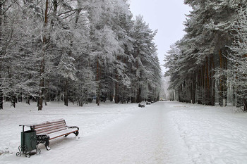 Winter-Skizzen / ***