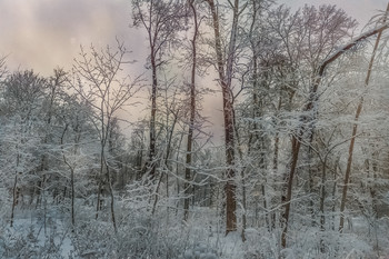 Winter-Skizzen / ***