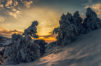 Winter-Skizzen / ***