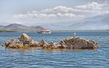 Skadarsee / ***
