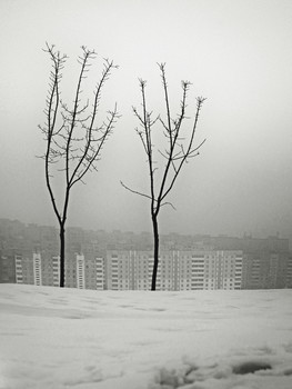 Winter-Skizzen / ***
