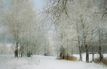 Winter-Skizzen / ***
