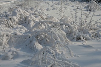 Winter-Skizzen / ***