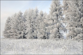 Winter-Outfit / ***