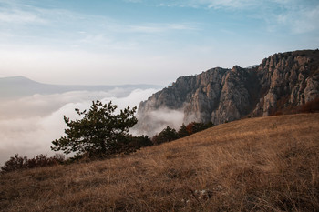 Dort, hinter dem Nebel ... / ***