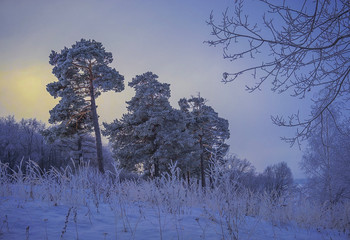 Wintermärchen. / ***
