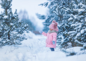 Zimushka - Winter / ***